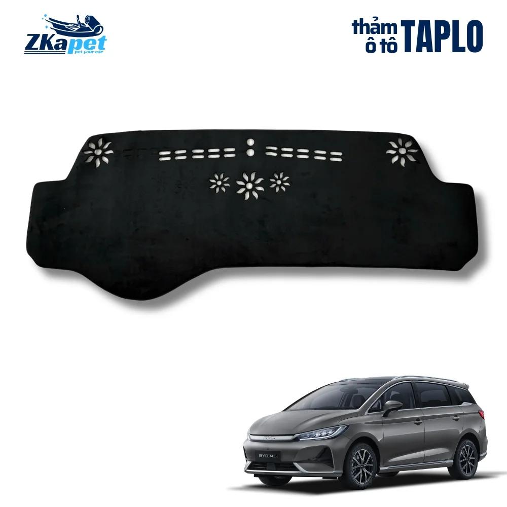 tham-taplo-o-to-BYD-M6